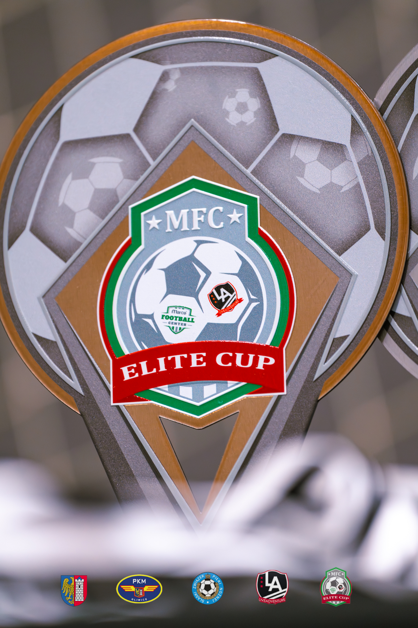 MFC CUP -304 (1)